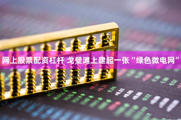 网上股票配资杠杆 戈壁滩上建起一张“绿色微电网”